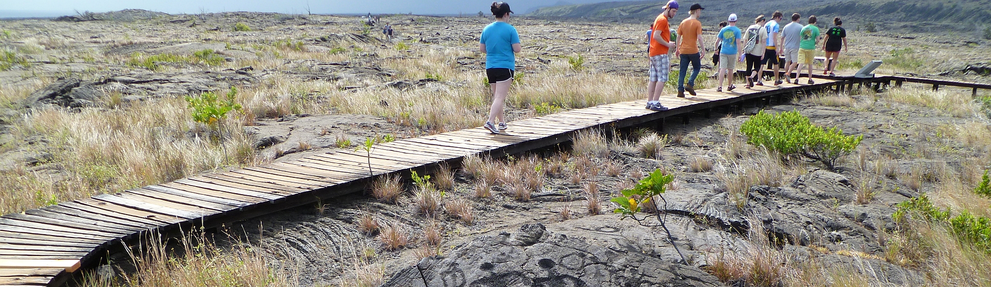 Biology in Hawaii