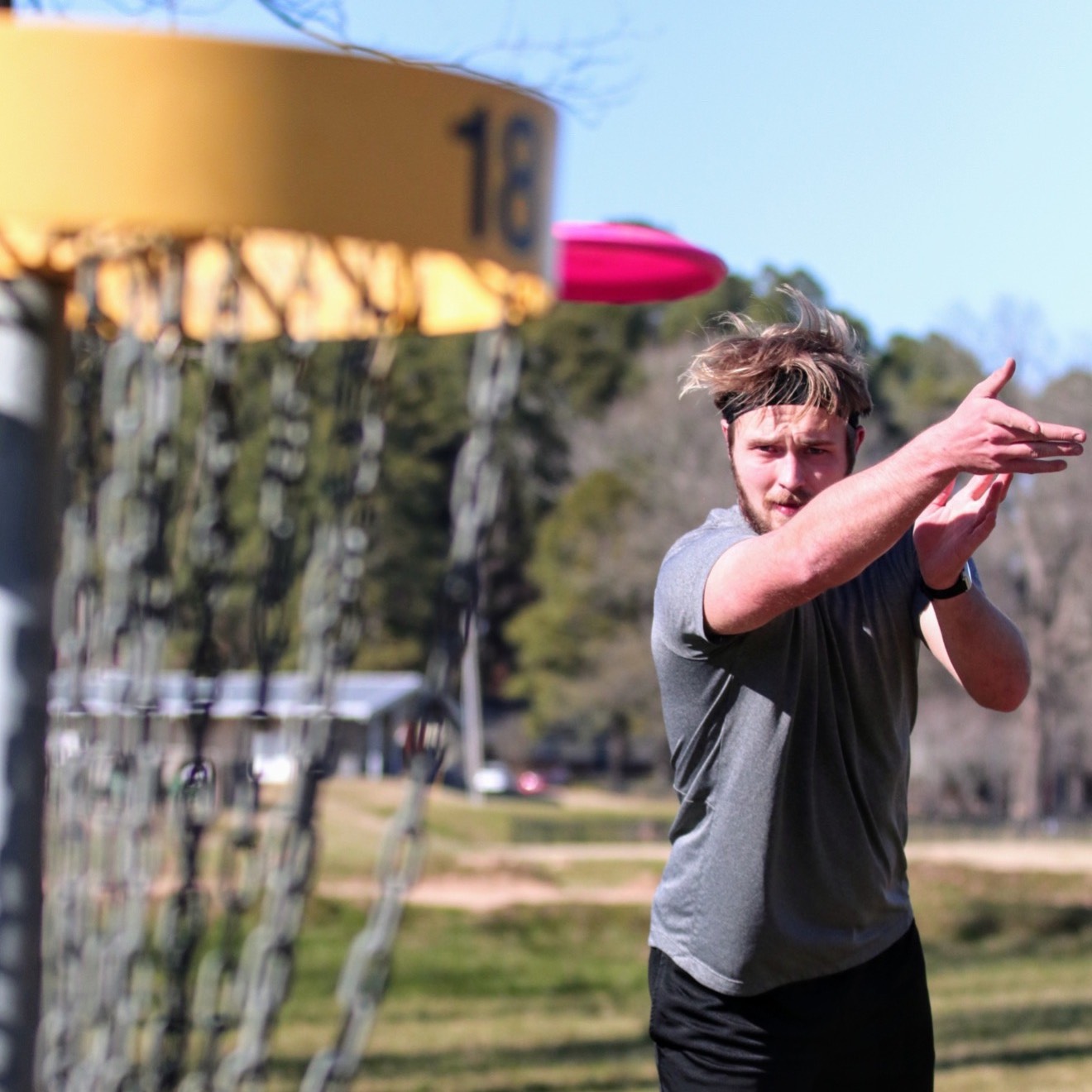 Disc Golf