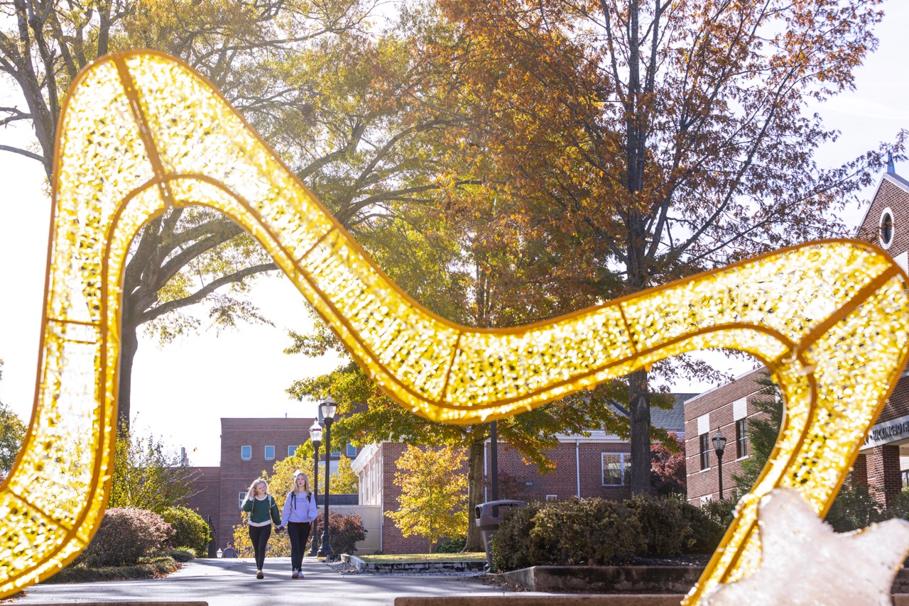 Campus Christmas Decorations